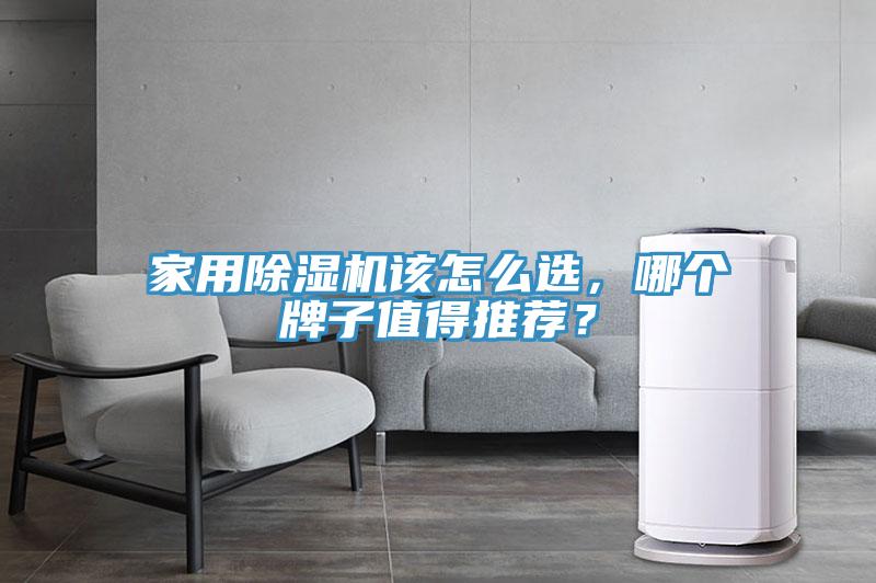 家用除濕機該怎么選，哪個牌子值得推薦？