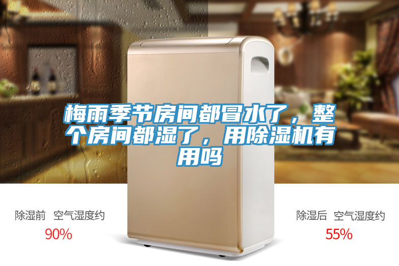 梅雨季節(jié)房間都冒水了，整個房間都濕了，用除濕機有用嗎
