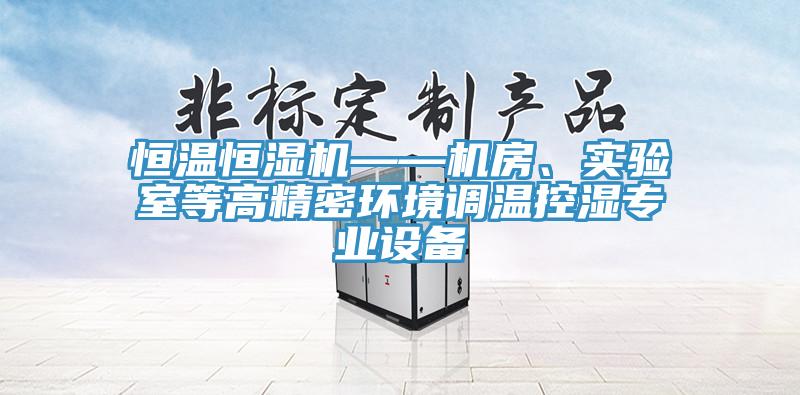 恒溫恒濕機——機房、實驗室等高精密環(huán)境調(diào)溫控濕專業(yè)設備