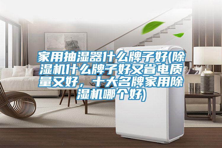家用抽濕器什么牌子好(除濕機(jī)什么牌子好又省電質(zhì)量又好，十大名牌家用除濕機(jī)哪個(gè)好)