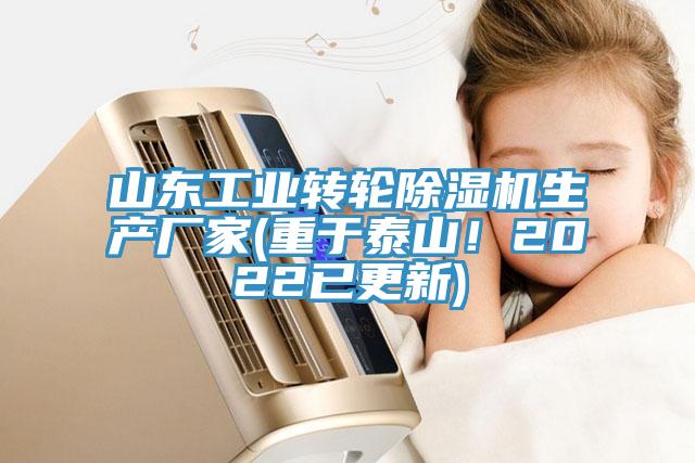 山東工業(yè)轉輪除濕機生產廠家(重于泰山！2022已更新)