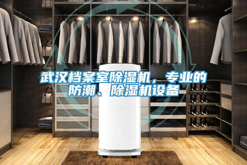 武漢檔案室除濕機(jī)，專業(yè)的防潮、除濕機(jī)設(shè)備