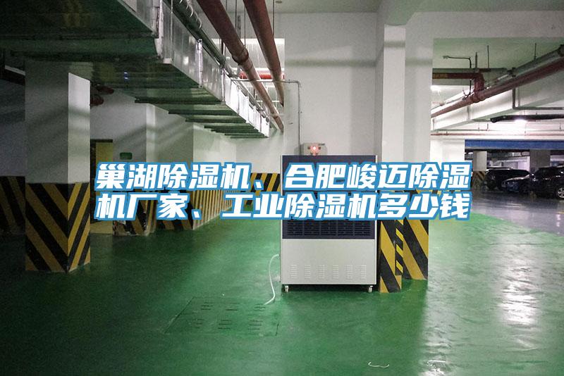 巢湖除濕機、合肥峻邁除濕機廠家、工業(yè)除濕機多少錢