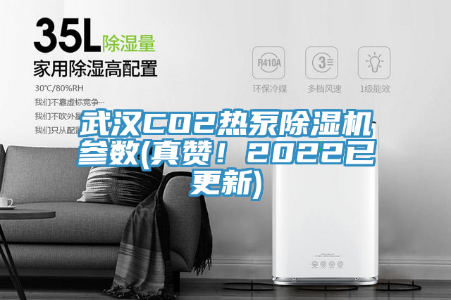 武漢CO2熱泵除濕機(jī)參數(shù)(真贊！2022已更新)