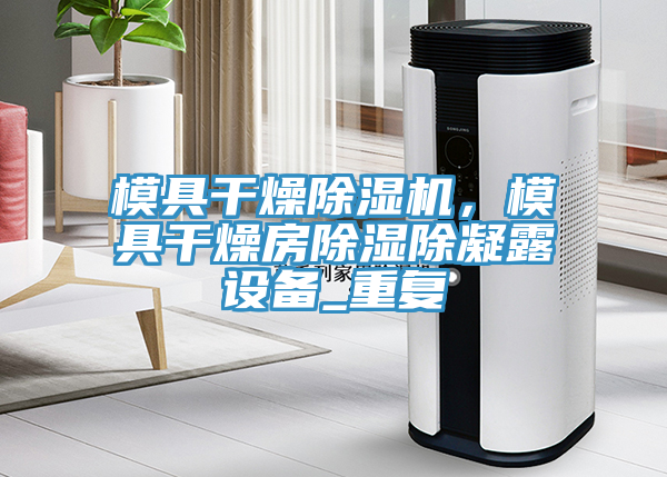 模具干燥除濕機，模具干燥房除濕除凝露設(shè)備_重復(fù)