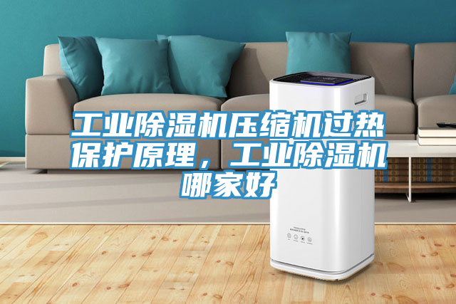工業(yè)除濕機(jī)壓縮機(jī)過熱保護(hù)原理，工業(yè)除濕機(jī)哪家好