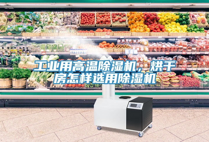 工業(yè)用高溫除濕機，烘干房怎樣選用除濕機