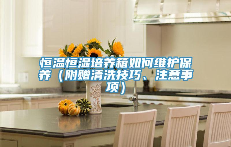 恒溫恒濕培養(yǎng)箱如何維護(hù)保養(yǎng)（附贈清洗技巧、注意事項）