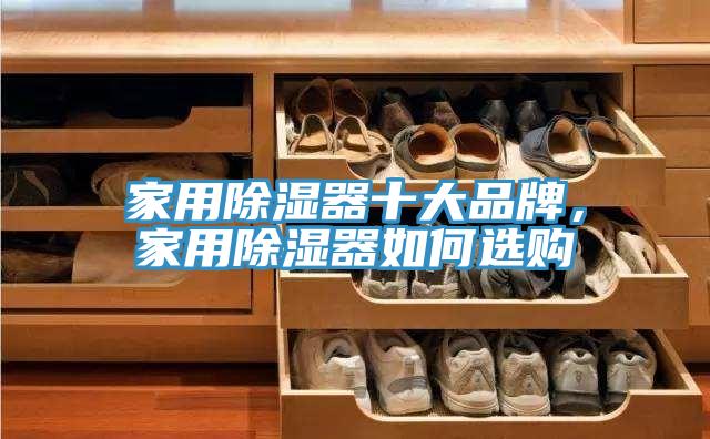 家用除濕器十大品牌，家用除濕器如何選購