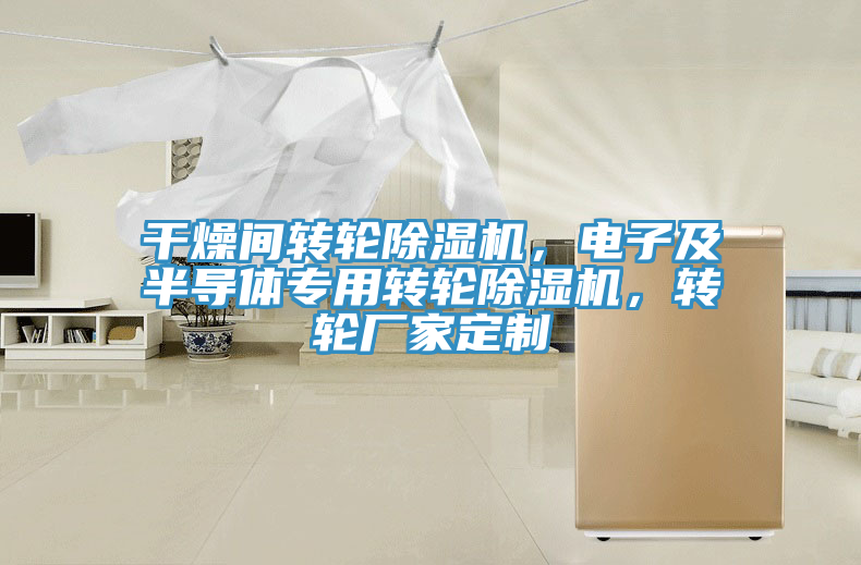 干燥間轉(zhuǎn)輪除濕機(jī)，電子及半導(dǎo)體專用轉(zhuǎn)輪除濕機(jī)，轉(zhuǎn)輪廠家定制