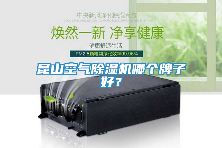 昆山空氣除濕機哪個牌子好？