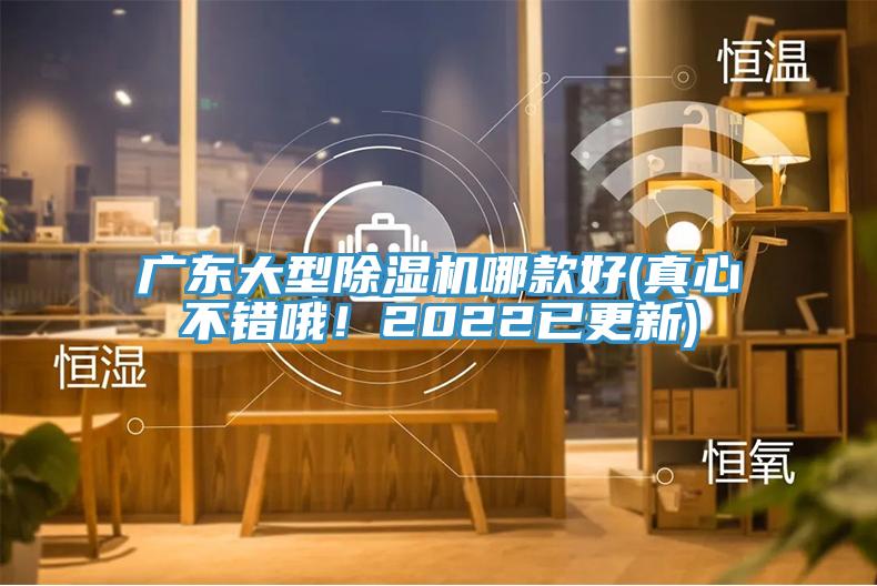 廣東大型除濕機(jī)哪款好(真心不錯(cuò)哦！2022已更新)