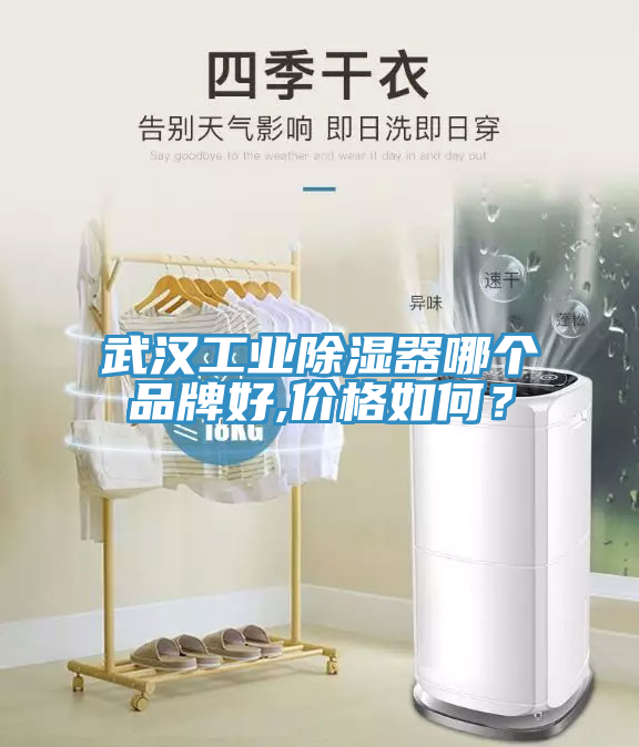 武漢工業(yè)除濕器哪個品牌好,價格如何？