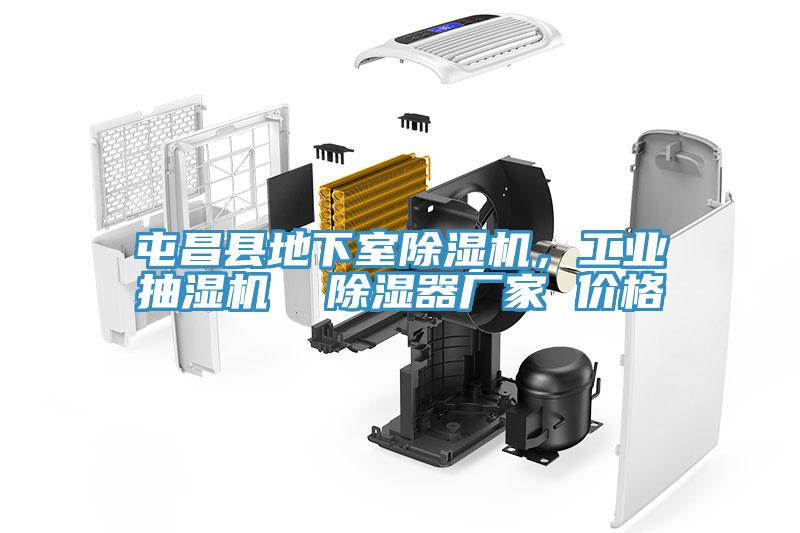 屯昌縣地下室除濕機，工業(yè)抽濕機  除濕器廠家 價格