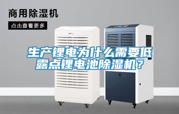 生產(chǎn)鋰電為什么需要低露點鋰電池除濕機？
