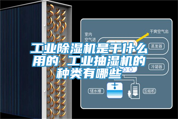 工業(yè)除濕機(jī)是干什么用的 工業(yè)抽濕機(jī)的種類(lèi)有哪些