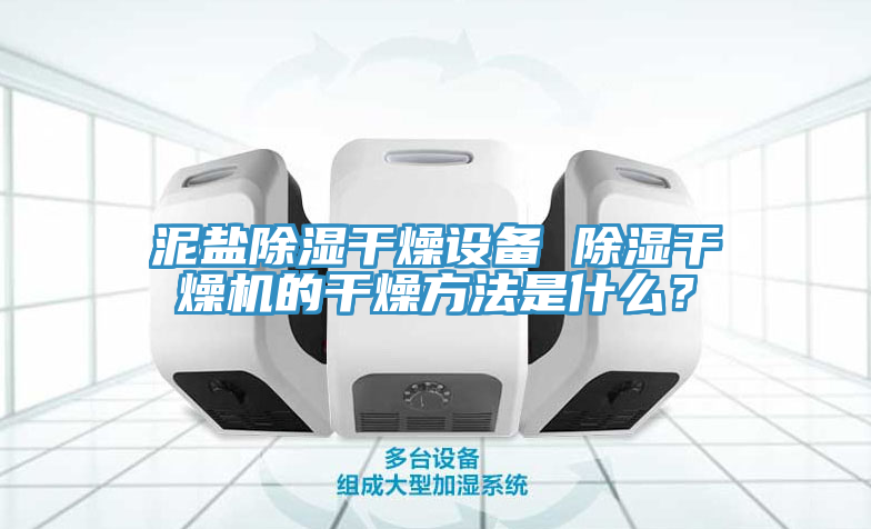 泥鹽除濕干燥設(shè)備 除濕干燥機(jī)的干燥方法是什么？