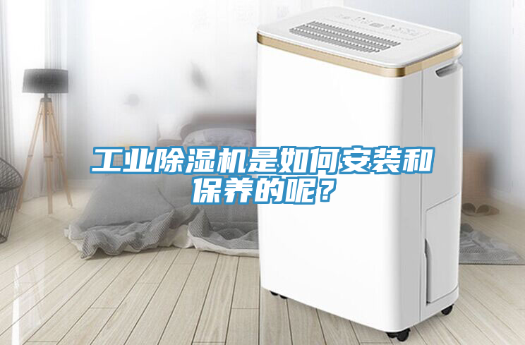 工業(yè)除濕機(jī)是如何安裝和保養(yǎng)的呢？