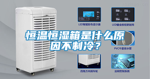 恒溫恒濕箱是什么原因不制冷？
