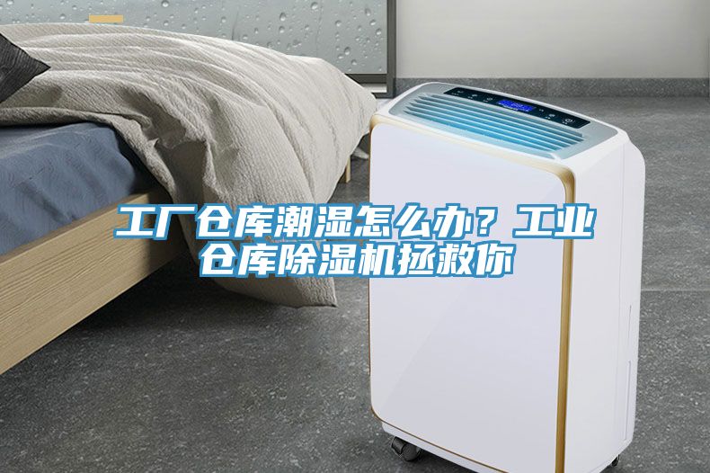 工廠倉庫潮濕怎么辦？工業(yè)倉庫除濕機拯救你