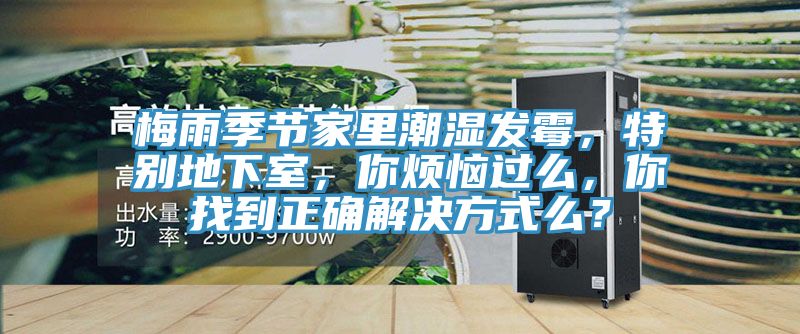 梅雨季節(jié)家里潮濕發(fā)霉，特別地下室，你煩惱過么，你找到正確解決方式么？