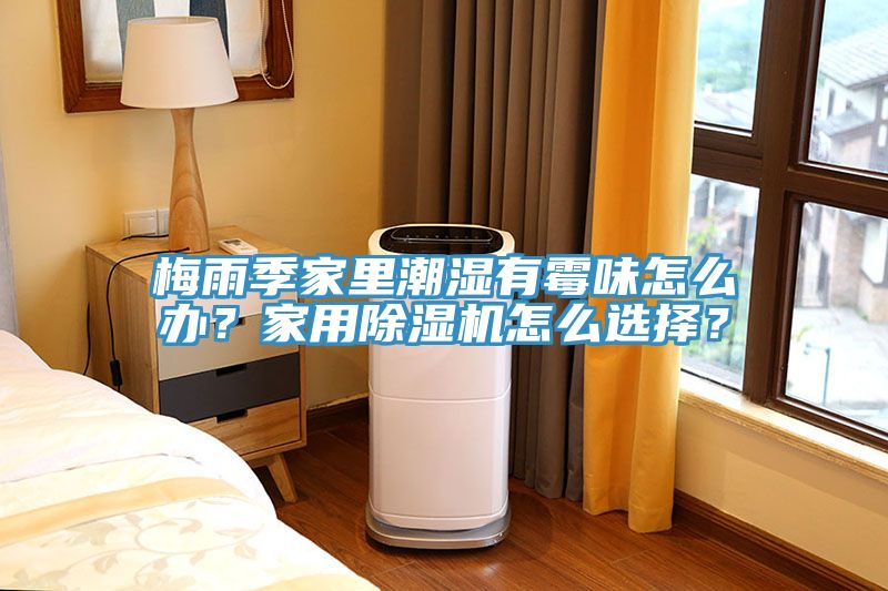 梅雨季家里潮濕有霉味怎么辦？家用除濕機(jī)怎么選擇？