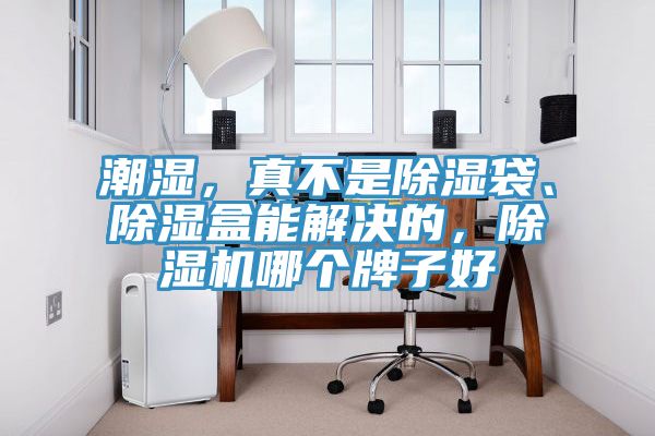 潮濕，真不是除濕袋、除濕盒能解決的，除濕機(jī)哪個(gè)牌子好