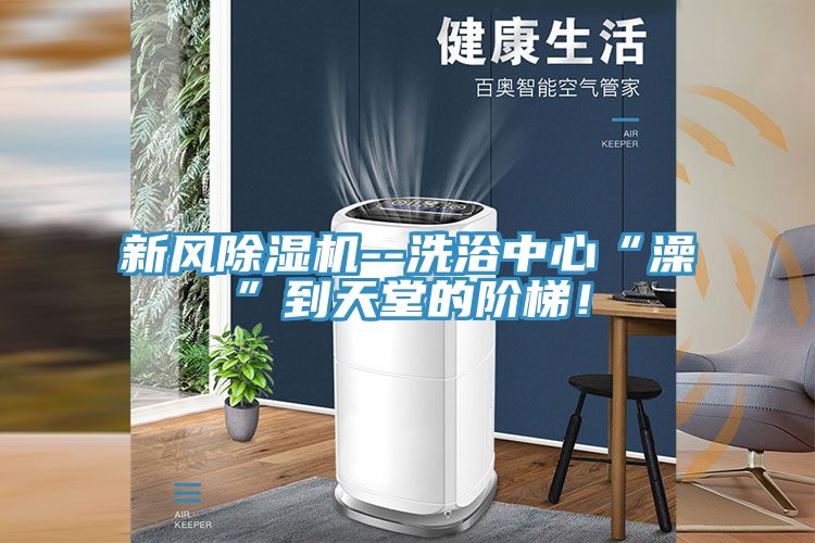 新風除濕機--洗浴中心“澡”到天堂的階梯！