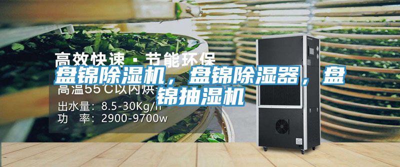 盤錦除濕機，盤錦除濕器，盤錦抽濕機