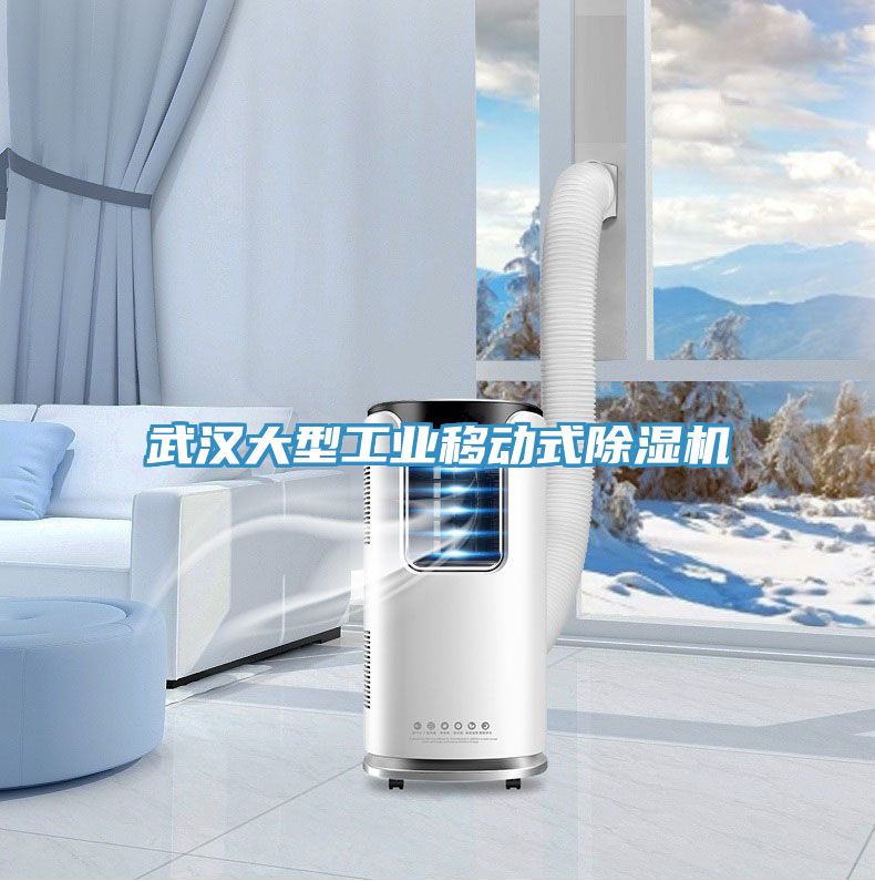 武漢大型工業(yè)移動式除濕機(jī)
