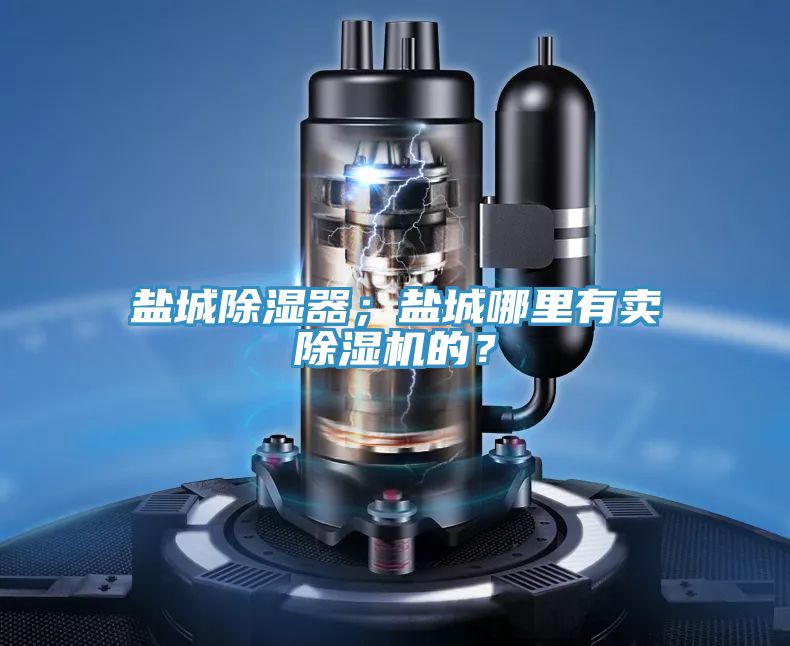 鹽城除濕器；鹽城哪里有賣除濕機的？