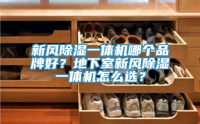 新風除濕一體機哪個品牌好？地下室新風除濕一體機怎么選？