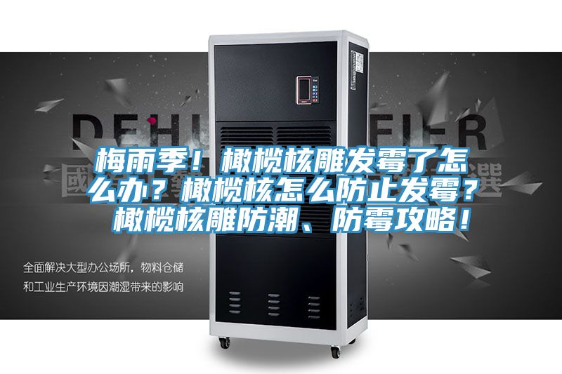 梅雨季！橄欖核雕發(fā)霉了怎么辦？橄欖核怎么防止發(fā)霉？ 橄欖核雕防潮、防霉攻略！