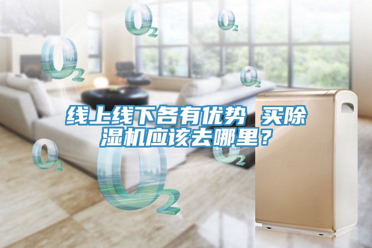 線上線下各有優(yōu)勢(shì) 買除濕機(jī)應(yīng)該去哪里？