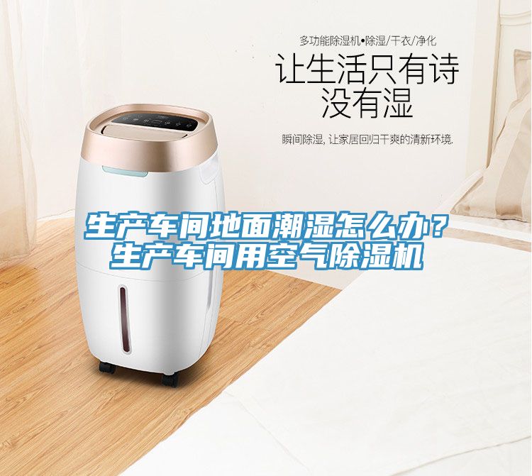 生產(chǎn)車間地面潮濕怎么辦？生產(chǎn)車間用空氣除濕機