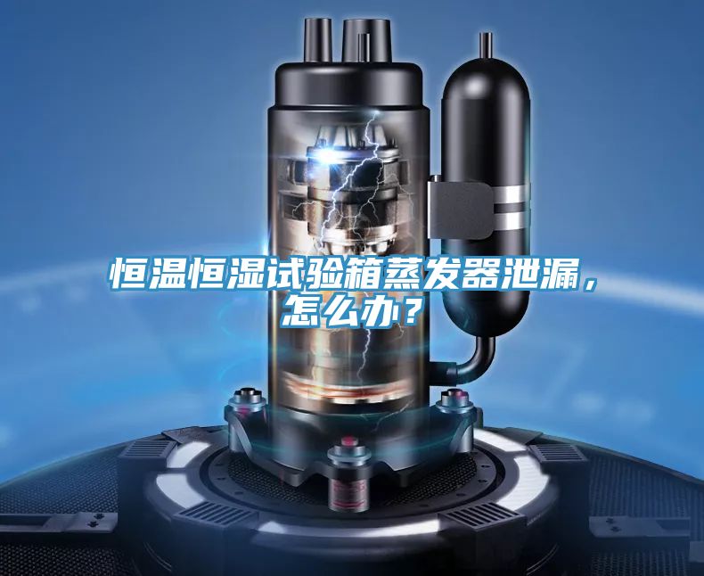 恒溫恒濕試驗(yàn)箱蒸發(fā)器泄漏，怎么辦？
