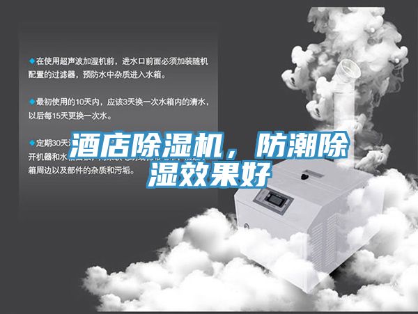 酒店除濕機(jī)，防潮除濕效果好