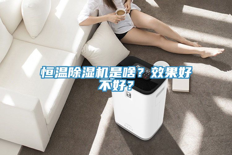 恒溫除濕機(jī)是啥？效果好不好？