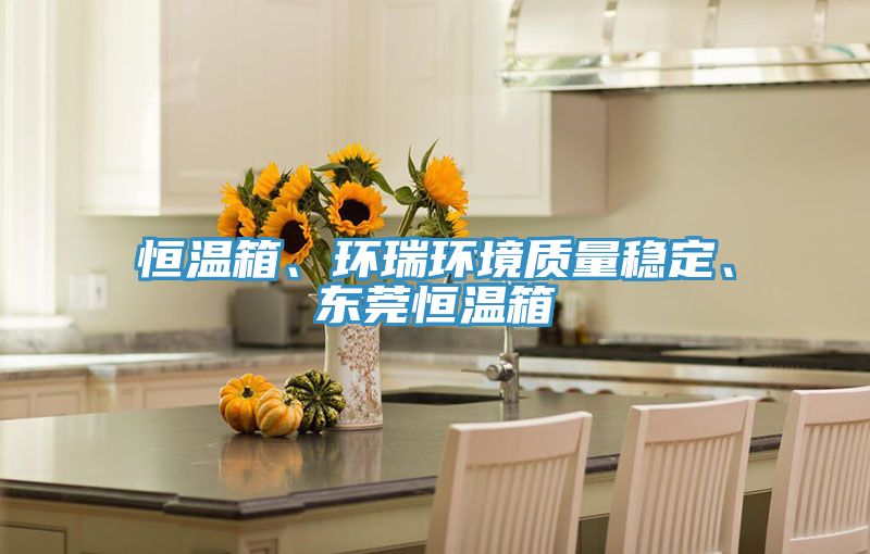恒溫箱、環(huán)瑞環(huán)境質(zhì)量穩(wěn)定、東莞恒溫箱