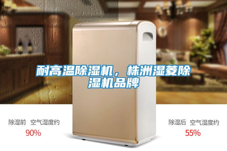 耐高溫除濕機(jī)，株洲濕菱除濕機(jī)品牌