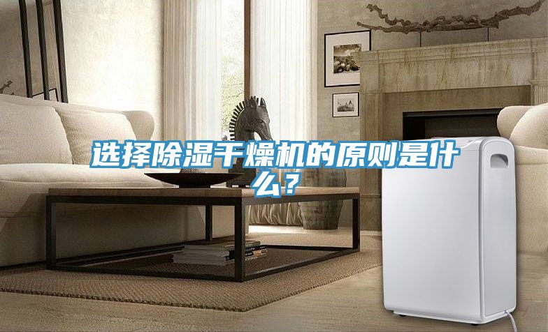 選擇除濕干燥機的原則是什么？
