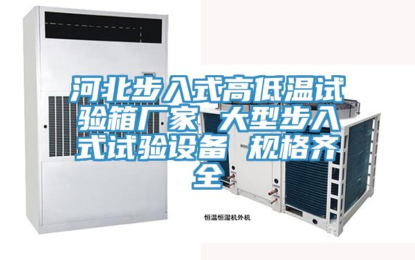 河北步入式高低溫試驗(yàn)箱廠(chǎng)家 大型步入式試驗(yàn)設(shè)備 規(guī)格齊全