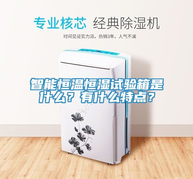 智能恒溫恒濕試驗箱是什么？有什么特點？