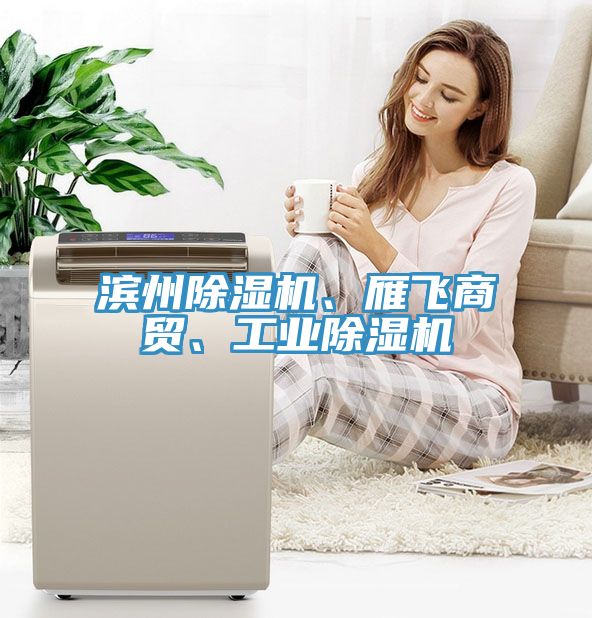 濱州除濕機、雁飛商貿(mào)、工業(yè)除濕機