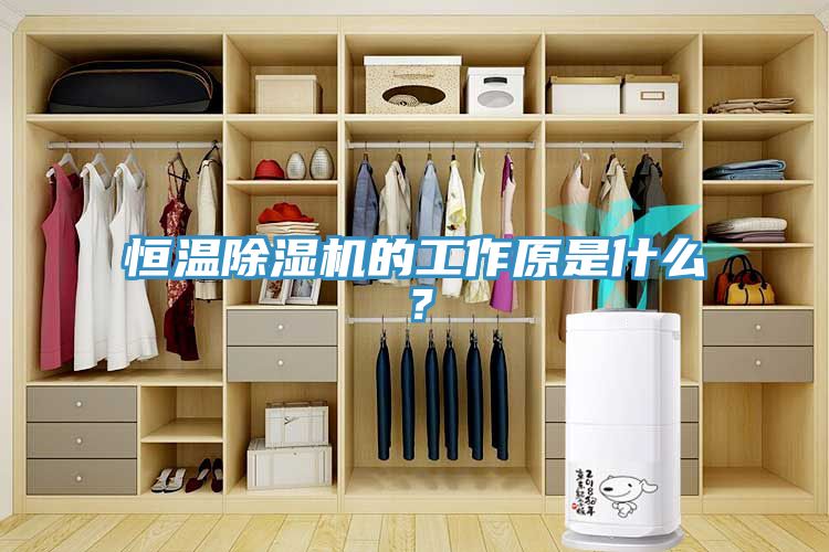 恒溫除濕機(jī)的工作原是什么？