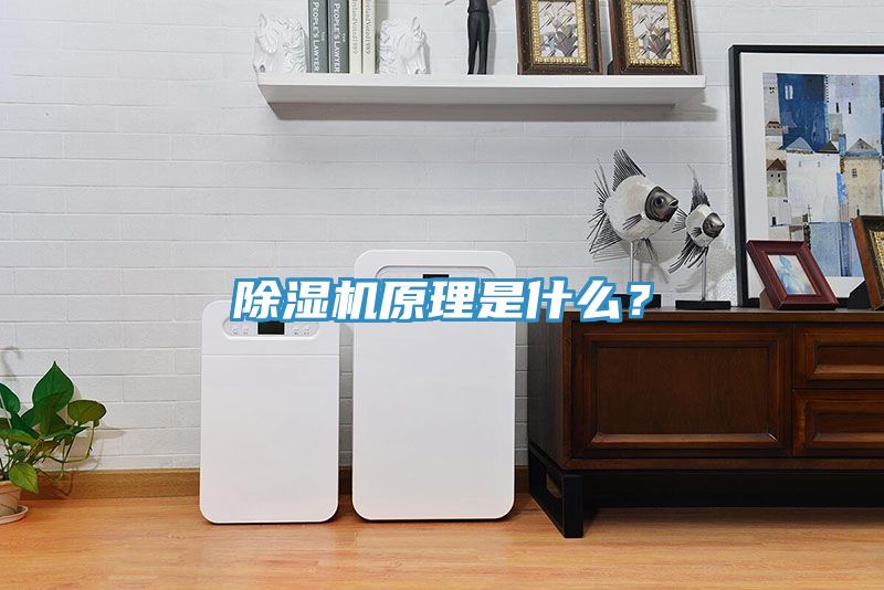 除濕機(jī)原理是什么？