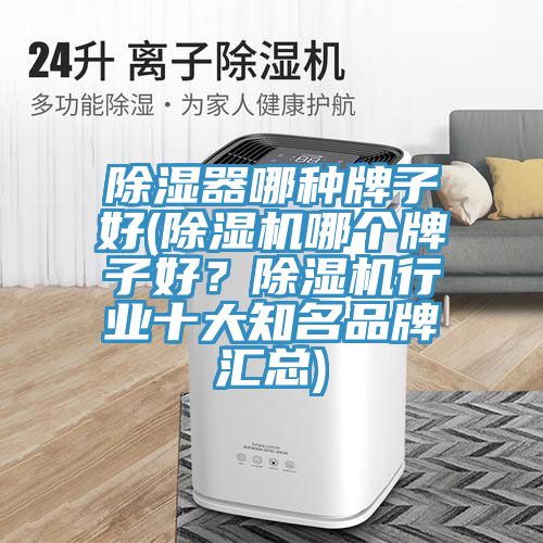除濕器哪種牌子好(除濕機(jī)哪個(gè)牌子好？除濕機(jī)行業(yè)十大知名品牌匯總)