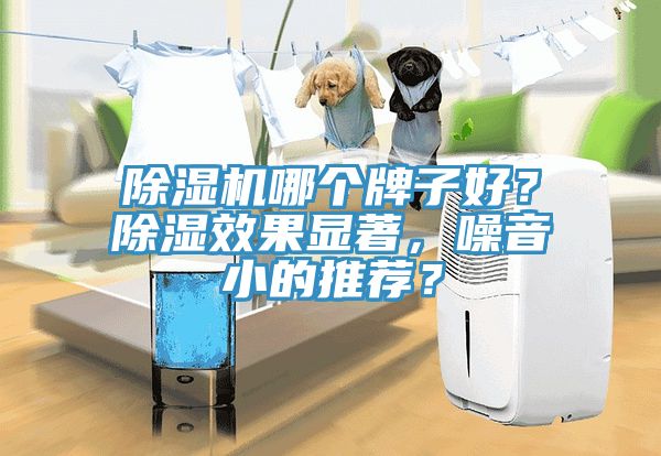 除濕機哪個牌子好？除濕效果顯著，噪音小的推薦？