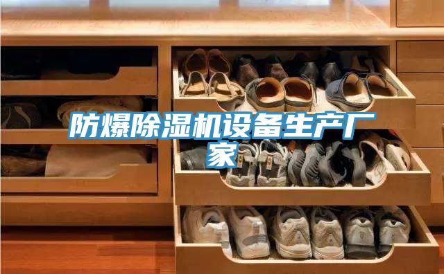 防爆除濕機(jī)設(shè)備生產(chǎn)廠(chǎng)家