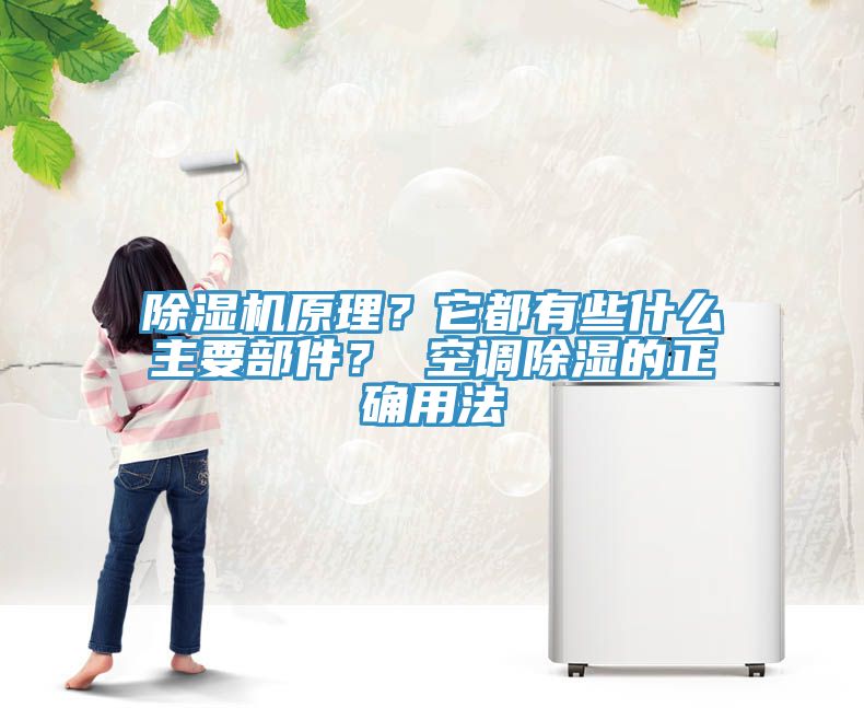 除濕機(jī)原理？它都有些什么主要部件？ 空調(diào)除濕的正確用法